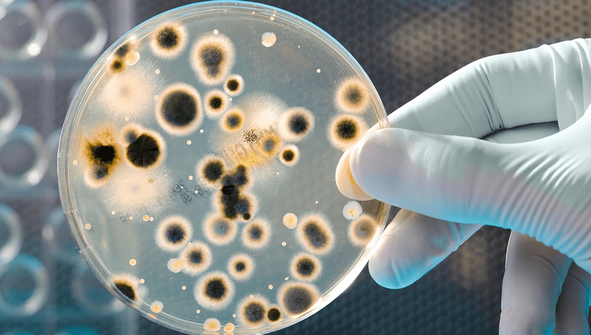 1615221620-bacteria-growth-o-met-1780286720224-17802867203971560929269