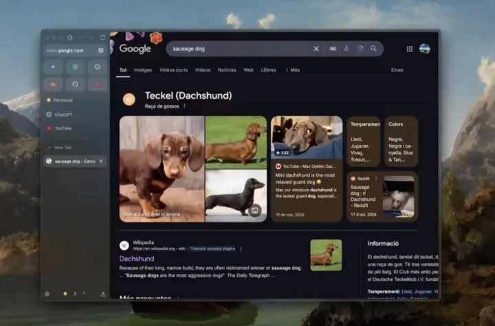 6 trình duyệt miễn phí có thể thay thế Chrome và Safari- Ảnh 6.