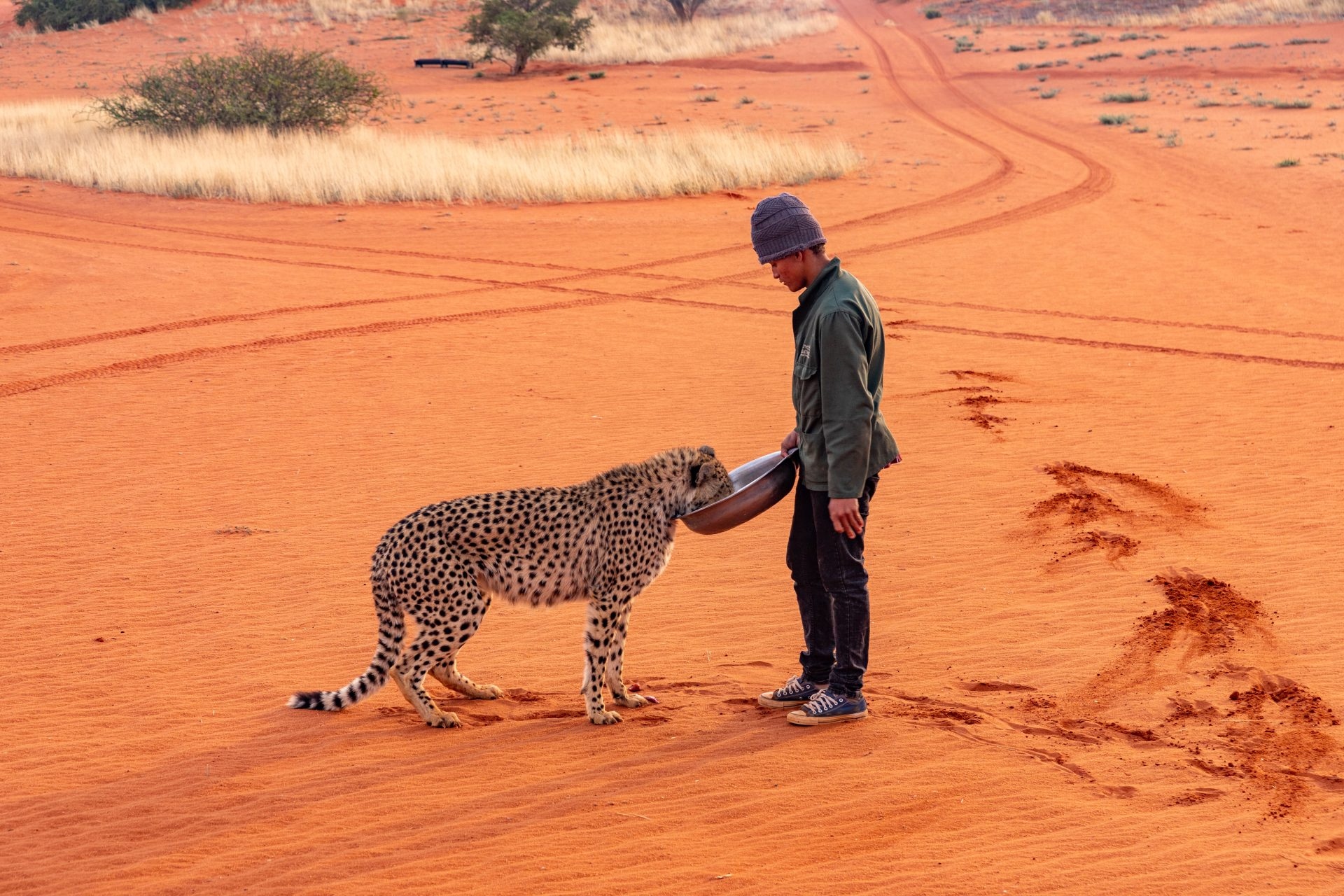 101622-kalahari-bagatelle-namibi-1786079155286-1786079156887968176798