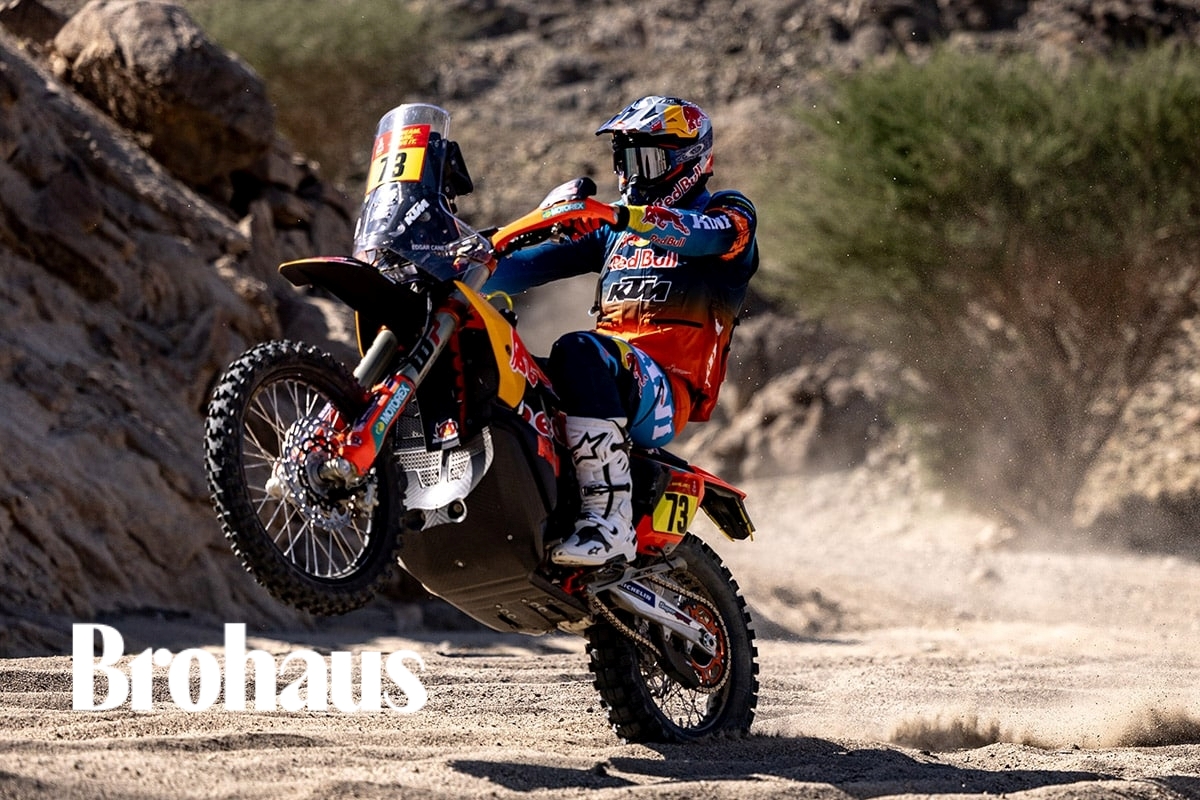 brohaus-3canetprologuelowres-1788285124385-17882851245581458354001