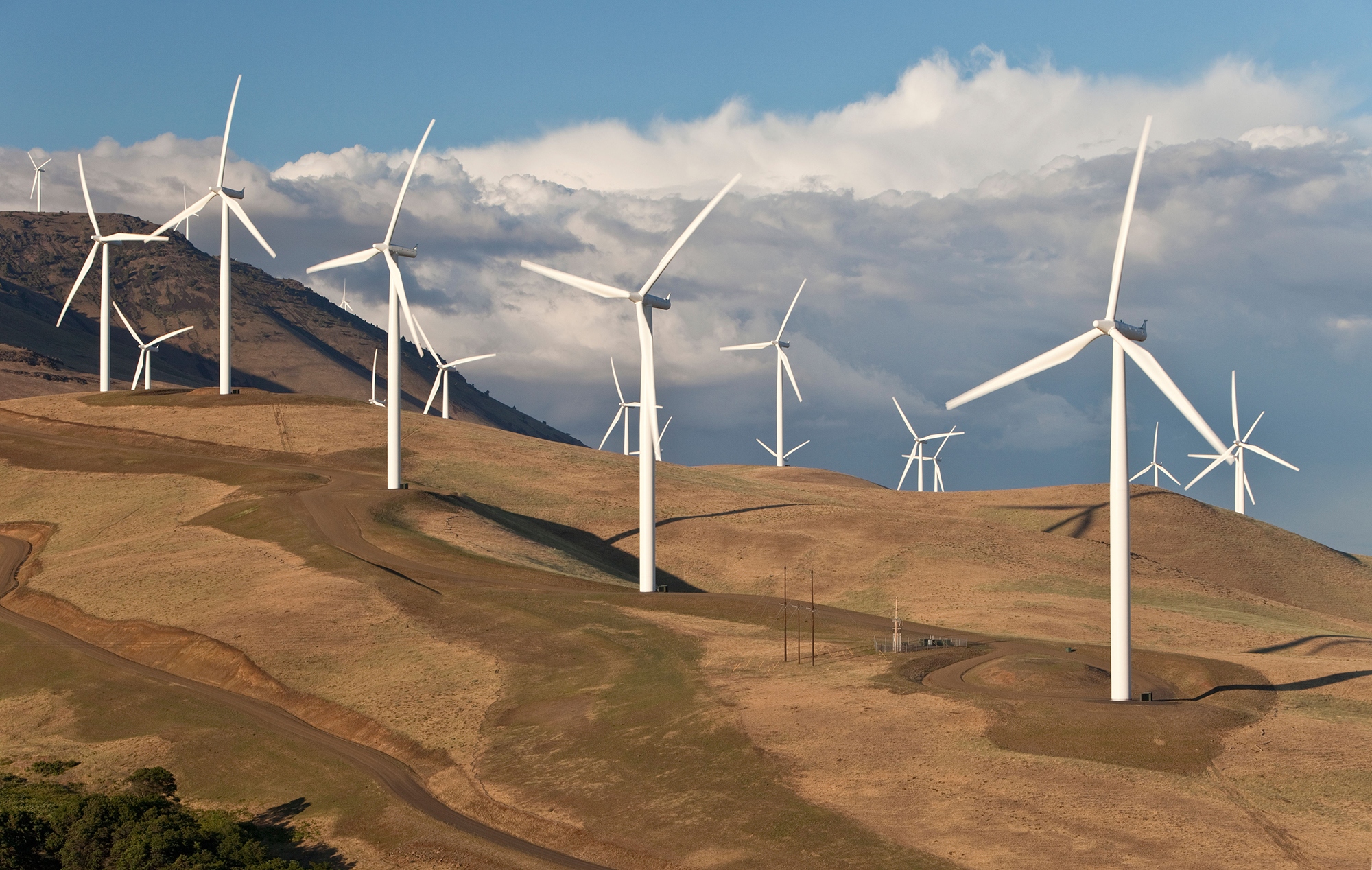 wind-farm-1791951157523-1791951157916389200785